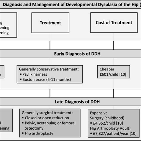 Summary Of The Diagnosis And Management Of Developmental Dysplasia Of Download Scientific