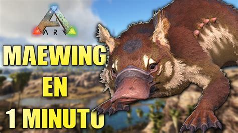 Tameo De Maewing En Minuto Ark Survival Evolved Youtube