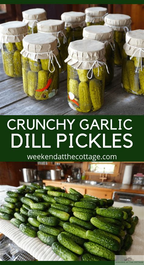 Garlic Dill Pickles Recipe Weekend At The Cottage Recipe Canning Recipes Pickling Recipes