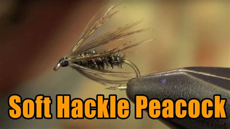 Soft Hackle Peacock Fly Tying Instructions Directions And How To Tie Tutorial Youtube