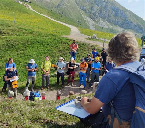 Cartografia Geologica Carg A Scuola Tra Le Dolomiti Ispra Societ