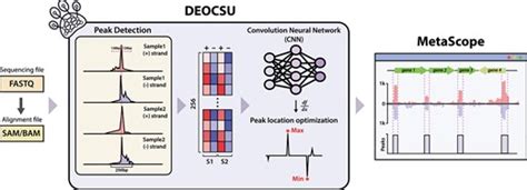 Deep Learning Optimized Deocsu Suite Provides An Iterable Pipeline For