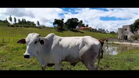 SÍTIO A VENDA EM PERNAMBUCO 06 HECTARES AÇUDES E NASCENTE DE ÁGUA