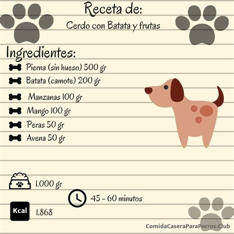 Recetas Para Cachorros Speedworldhobao Es