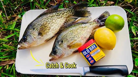 Crappie Catch Clean And Cook So Easy A Kid Can Do It Youtube