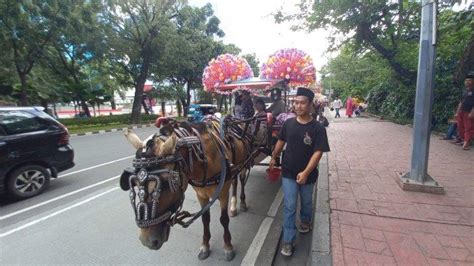 Larangan Delman Beroperasi Di Monas Pengamat Transportasi Ini Sangat