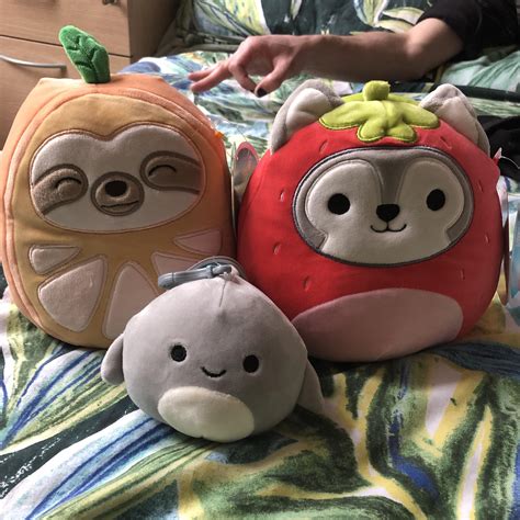 My First Time Squish Hunting How Did I Do R Squishmallow