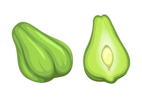 Premium Vector Labu Siam Aka Chayote Vegetable Symbol Whole And Slice