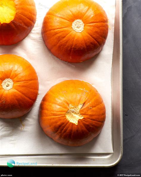 Fresh Pumpkin Puree For Pumpkin Pie Filling Recipe