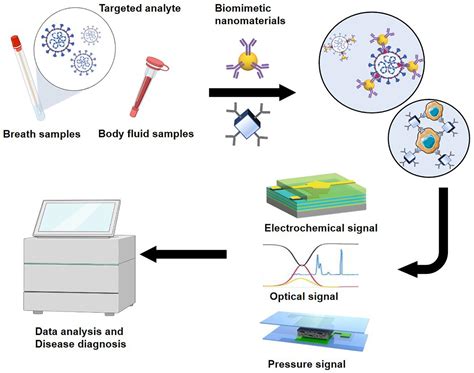 Frontiers Advanced Biomimetic Nanomaterials For Non Invasive Disease