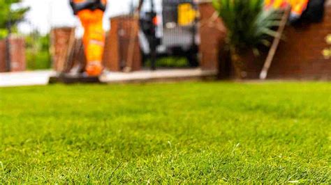 Turf Supply And Installation In Sydney Transforming Your Outdoor