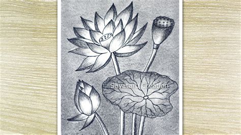 How To Draw A Scenery Of Lotus Water Lily Pencil Drawing YouTube