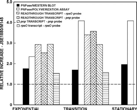 Quantification Of The Western Blotting Polymerization Assay And Download Scientific Diagram