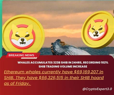 CryptoExpert On Binance Feed Whales Accumulates 323B SHIB In 24hrs