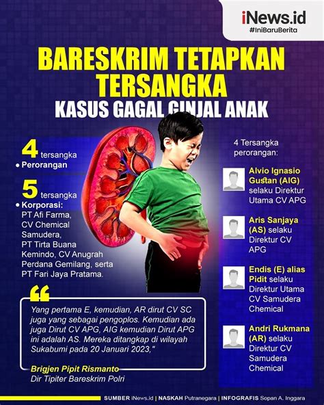 Infografis Orang Dan Korporasi Tersangka Kasus Gagal Ginjal Anak