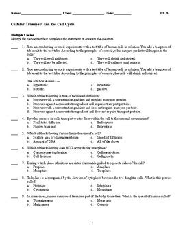 Quiz Biology Cellular Transport And The Cell Cycle Worksheets