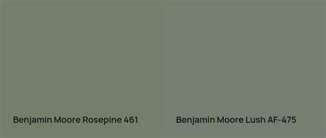 Benjamin Moore Rosepine 461 49 Real Home Pictures