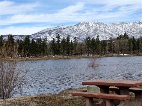 Lake Hemet Birding In The San Jacinto Mountains