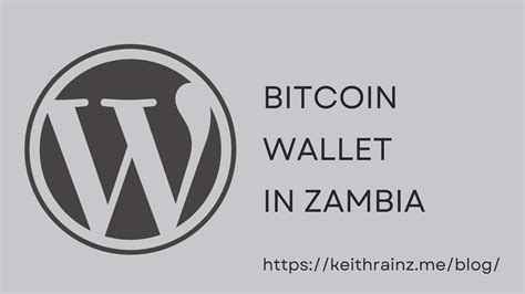 Choosing The Right Bitcoin Wallet In Zambia Keith Rainz