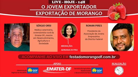 O Jovem Exportador Exportação de Morango YouTube