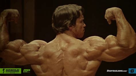 Arnold Schwarzenegger Workout Plan Blueprint Eoua Blog