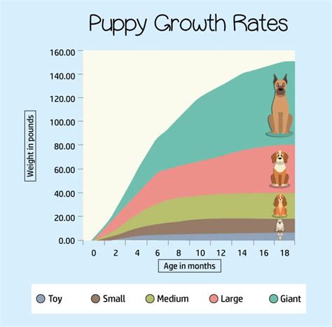 Puppy Development & Growth Chart - A Complete Guide for 2020 | Puppy growth chart, Puppy ...