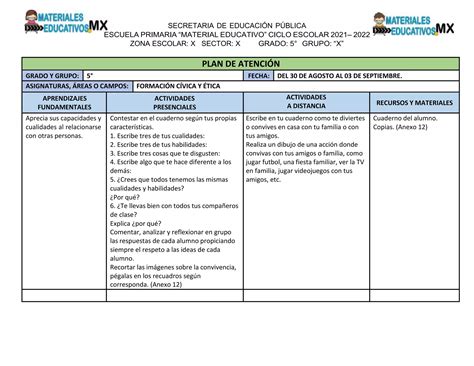 Esbozo Plan De Atención 5to Gradodocx