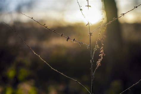 Performance and image quality - Sony Alpha A6400 review - Page 3 ...