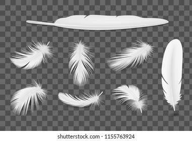 Colored Bird Feathers Realistic Transparent Set Stock Vector Royalty