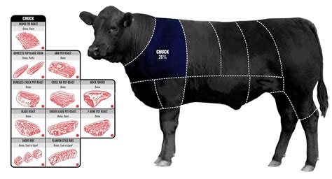 Parts Of A T Bone Beef Steak