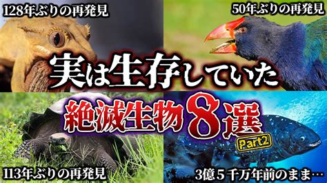 絶滅生物の検索結果 Yahooきっず検索