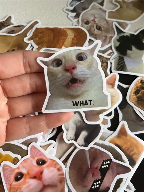 15 Cat Memes Sticker Pack Etsy