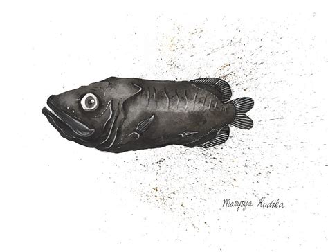 Deep Ocean Fish - Marysya Rudska