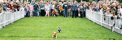 Registration Open For Kirklands Oktoberfest Wiener Dog Races