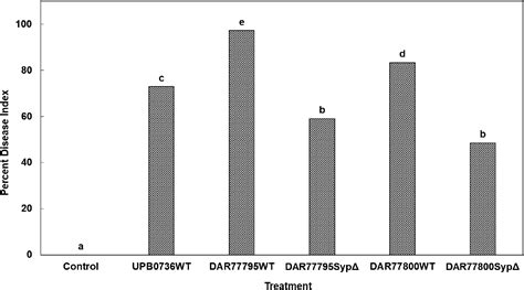 Syringopeptin Contributes To The Virulence Of Pseudomonas Fuscovaginae