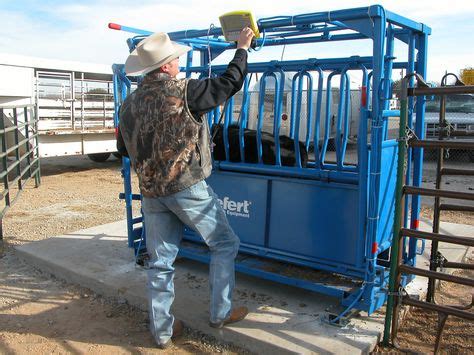 40 Cattle Equipment ideas | cattle, herding, cattle ranching