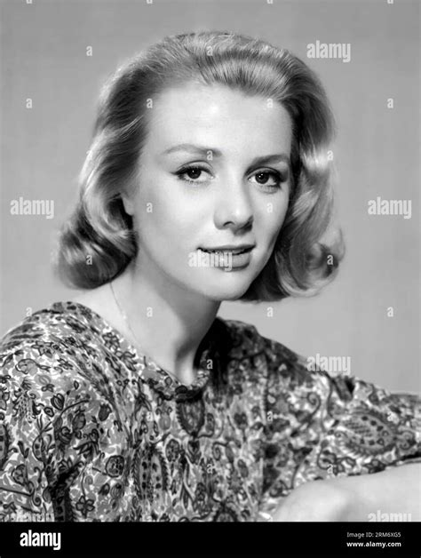 Inger Stevens Hi Res Stock Photography And Images Alamy