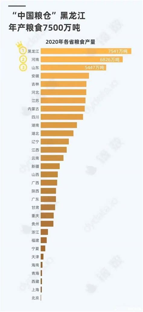 2020年各省粮食产量排名：黑龙江第一，江苏第七，广东第19社区聚汇数据