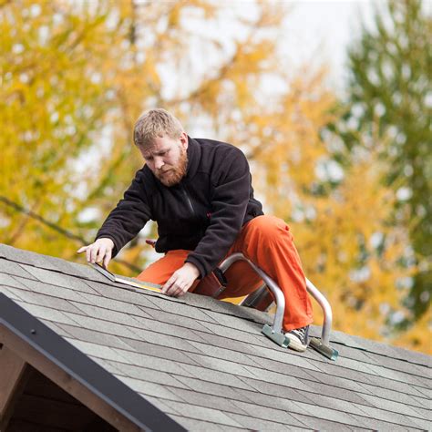 Купить ROOFY ДЕРЖАТЕЛЬ на крышу, КРЫШИ, Лестницы, лестница akc ...