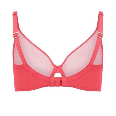 Agent Provocateur Hot Pink Sheer Lucky Bra In Size Depop