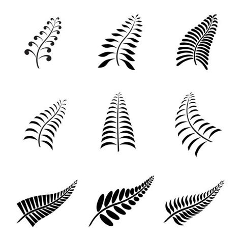 free clip art fern leaf 10 free Cliparts | Download images on Clipground 2024