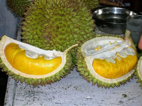 Manfaat Buah Durian Untuk Kesehatan Manfaat Dan Khasiat Aneka