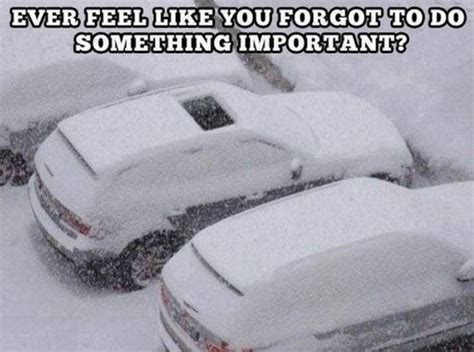 10 Funny Winter Memes To Make You Laugh In This Cold Weather