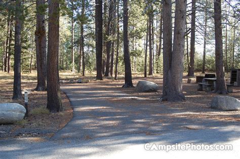 Donner Memorial State Park Campsite Photos Info And Reservations