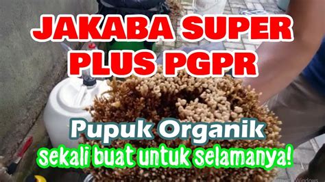 Jakaba Super Pgpr Pupuk Organik Sekali Buat Untuk Selamanya Youtube