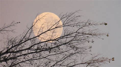 Luna Llena De Octubre As Ser La Luna Del Cazador Superluna Y Con Un