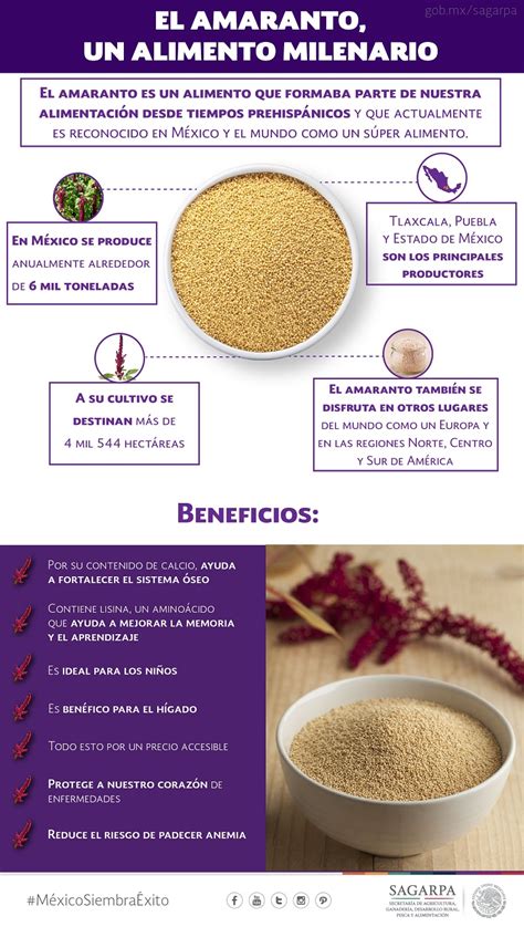 Amaranto nutritiva y deliciosa tradición Bienestar Al Día