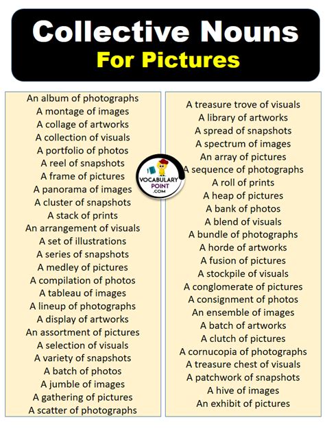 Collective Nouns For Pictures With Meaning And Examples Vocabulary Point