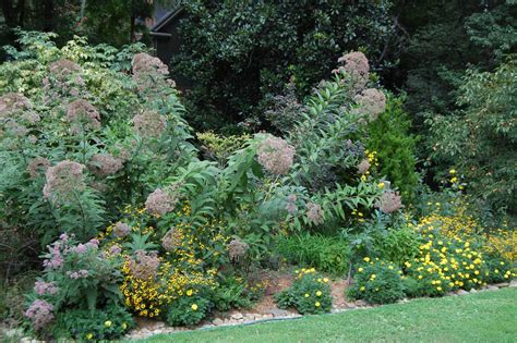 Native Plant And Rain Gardens Tour Private Home North Carolina Native Plant Society