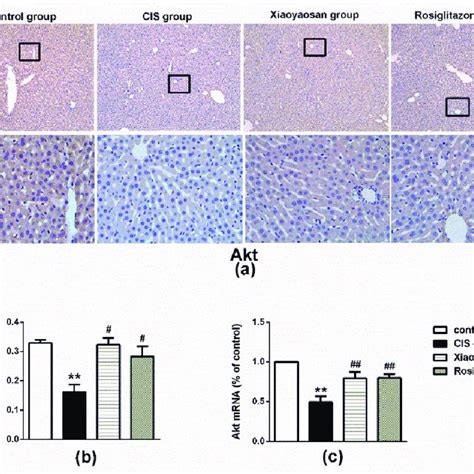 Effects Of Xiaoyaosan On Stress Induced Locomotor Activity And